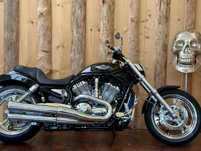 harley-davidson vrsca 1130 v-rod