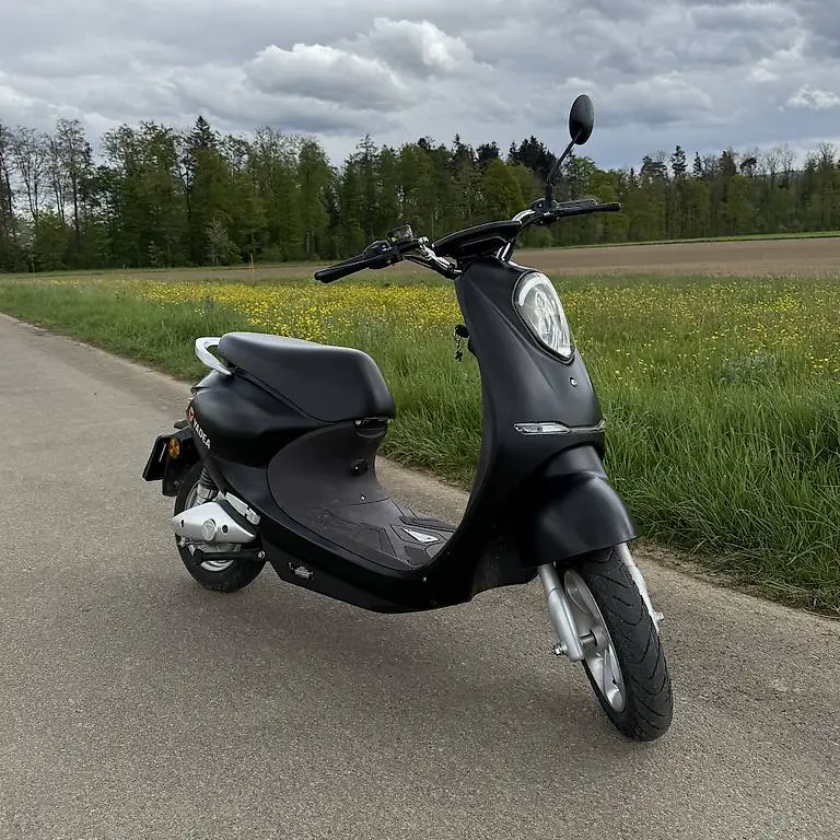 Elektroroller / E-Roller / E-Scooter / Elektrotrotti