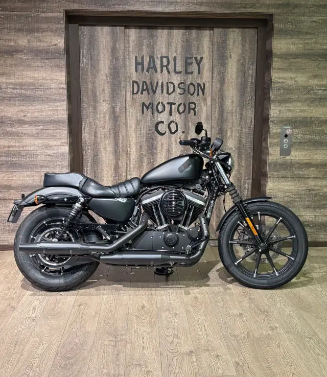 harley-davidson xl 883 n sportster iron