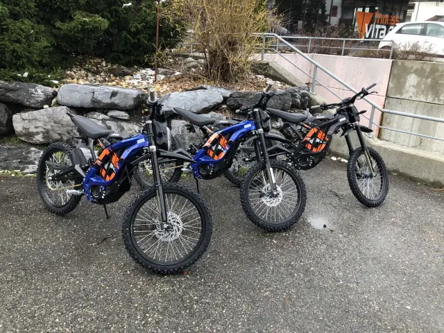 SURRON Firefly Light Bee