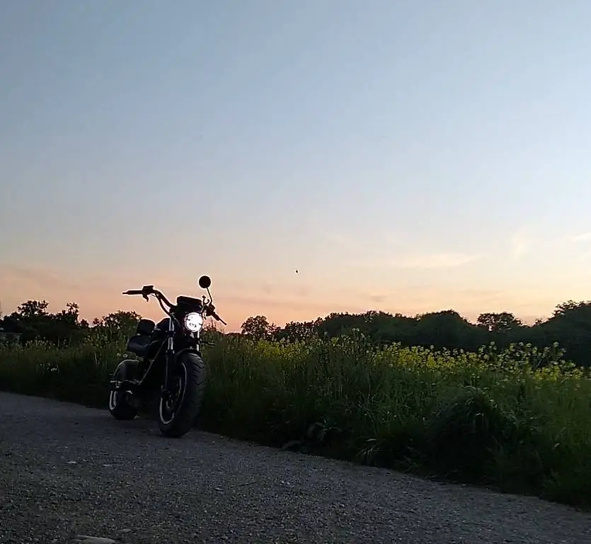 Elektro Chopper 500Watt 45aH