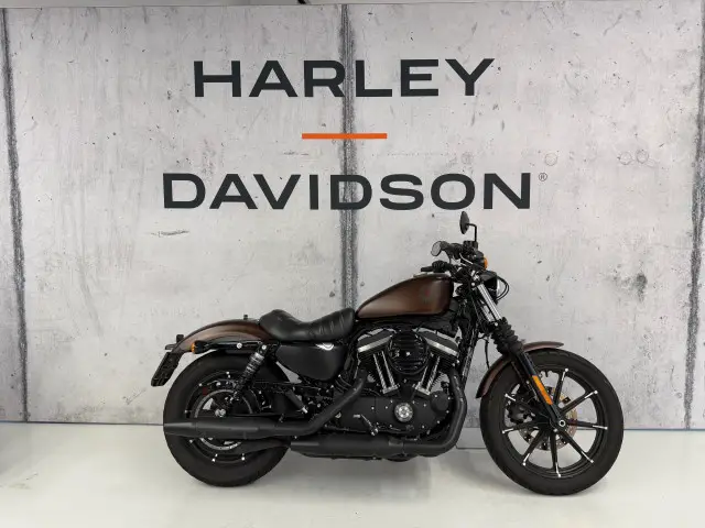 harley-davidson xl 883 n sportster iron