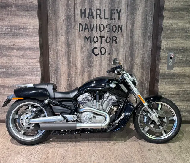harley-davidson vrscf 1250 v-rod muscle