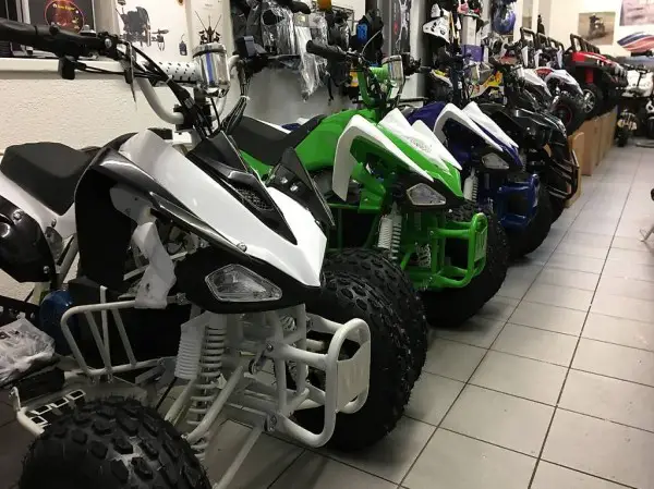  ATV QuadElektro XXL Speedy 1000 Watt
