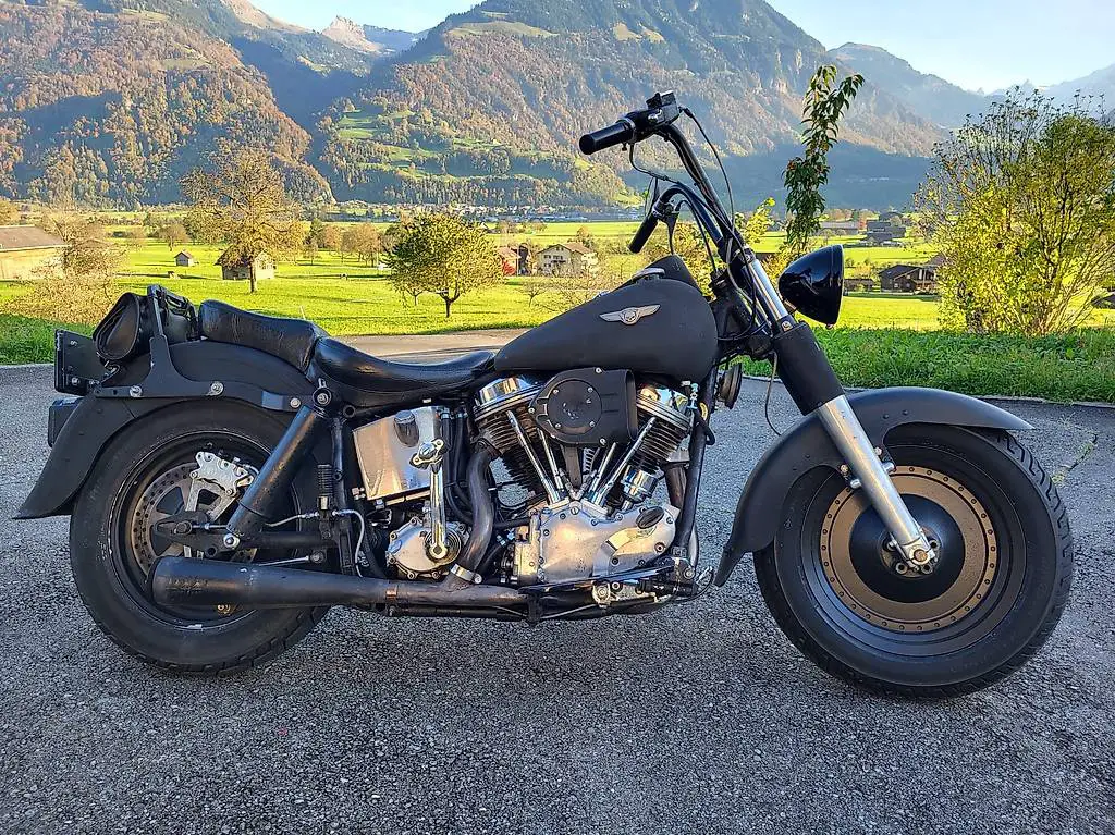 Harley Davidson FLH