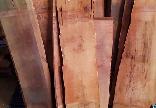  Paket Buche gedämpft, 24er Bretter