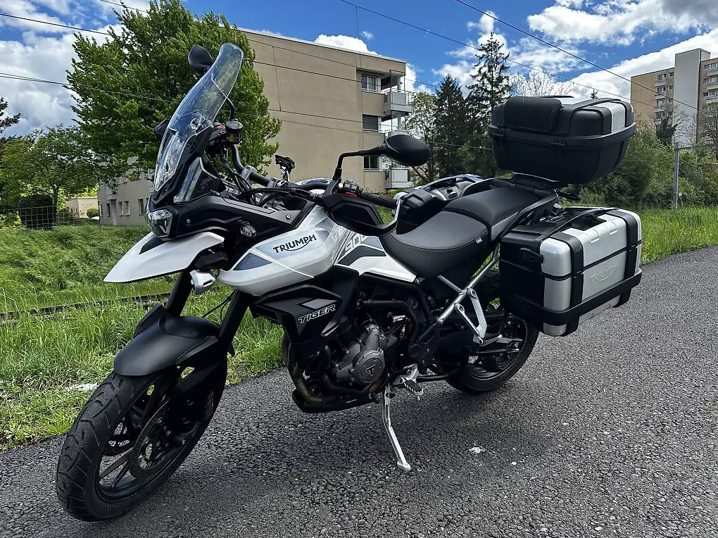 Triumph Tiger GT Pro 900 2021 frisch ab Service