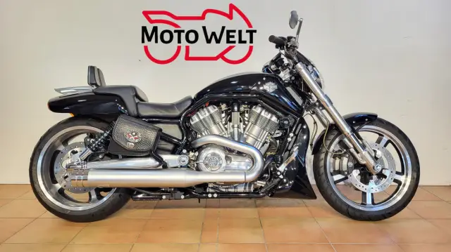 harley-davidson vrscf 1250 v-rod muscle