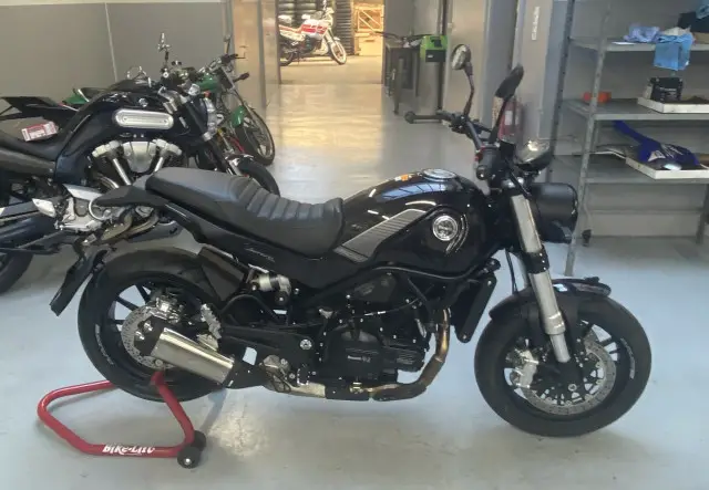 benelli leoncino 500