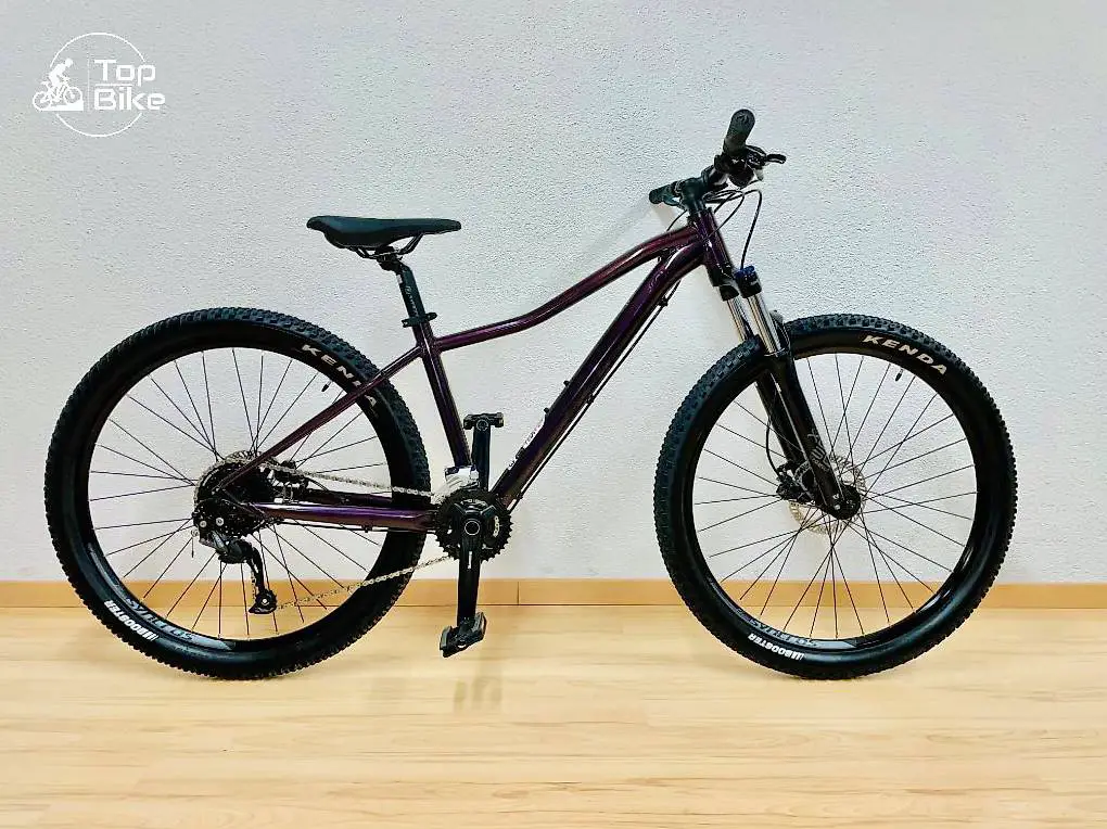 Scott Contessa Active 40 S (neuwertig)