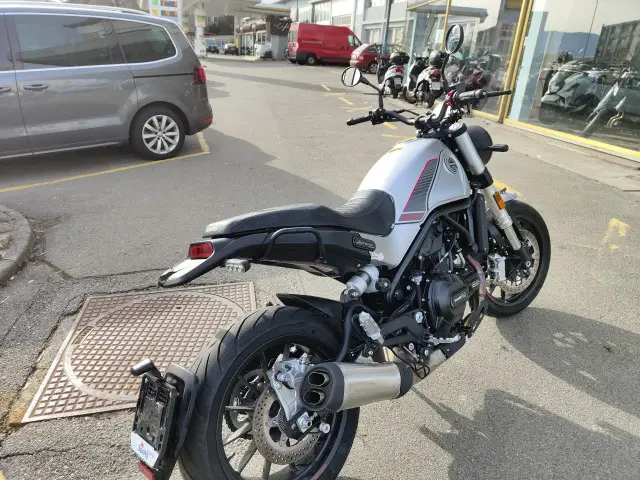 benelli leoncino 500