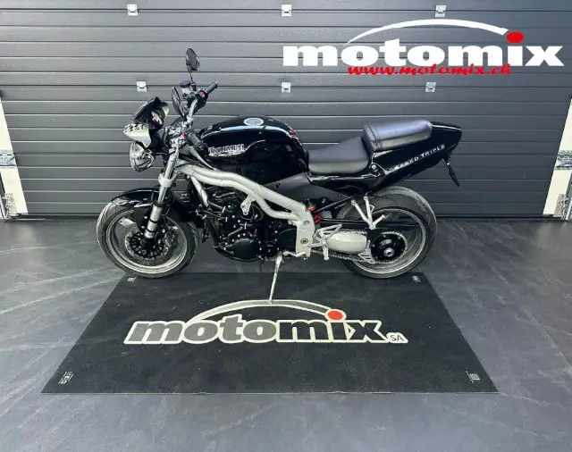 TRIUMPH Speed Triple 955