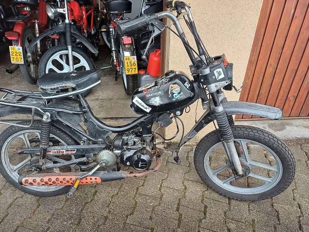 Pony Cross mit Ausweis