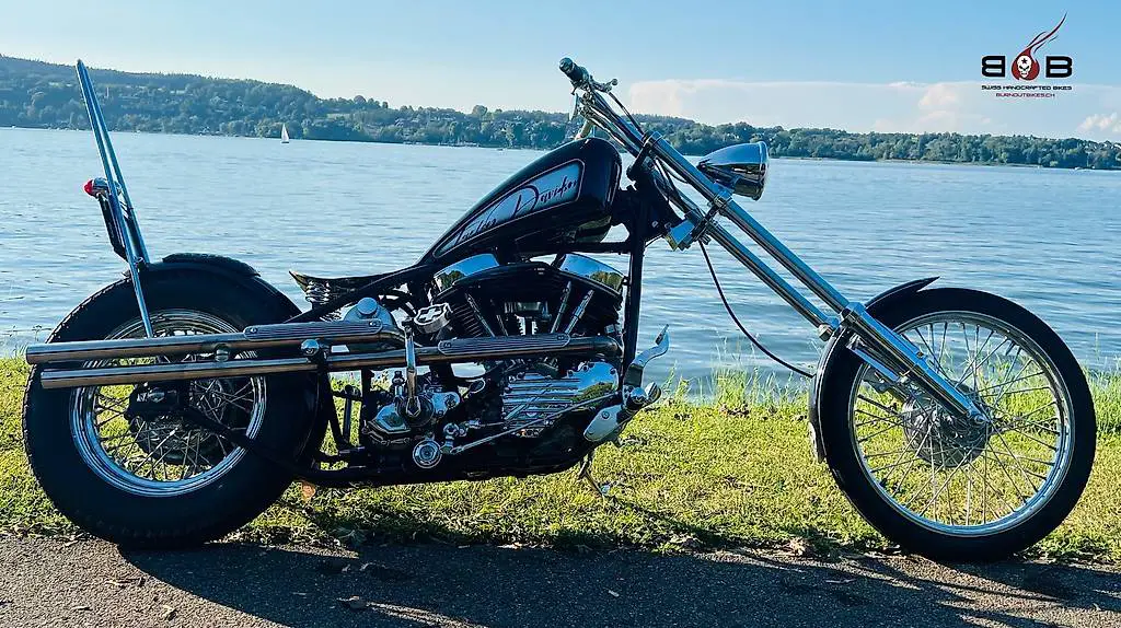 harley davidson panhead custom chopper