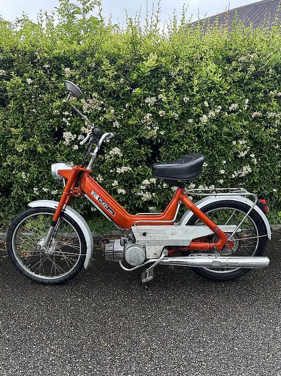 Puch Maxi N - Occasion