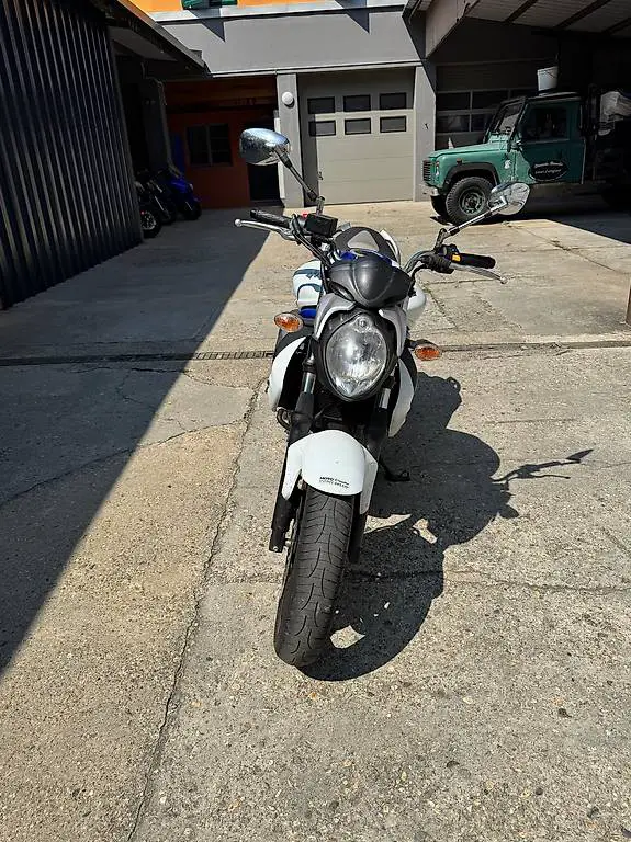 Suzuki SV 650 Gladius