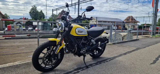 DUCATI Scrambler 803 Icon
