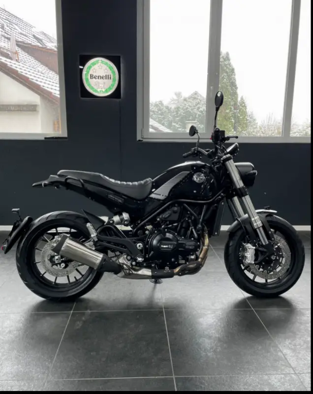 benelli leoncino 500