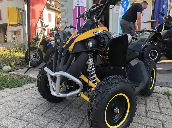  Kinder Miniquad Reneblade 1000 Watt