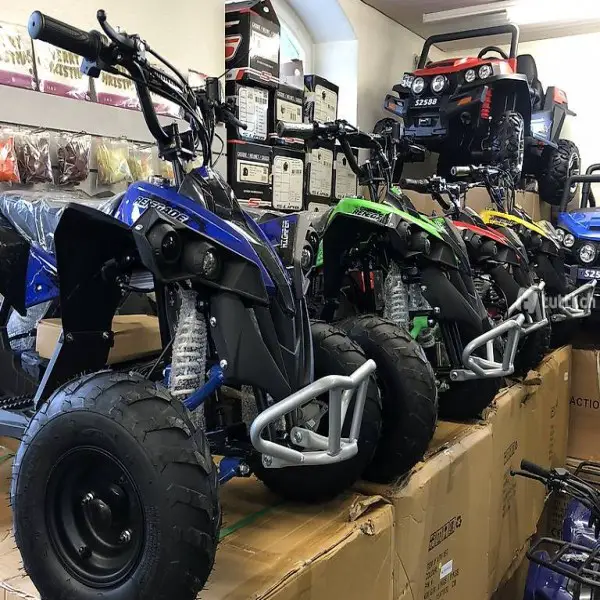  ATV Quad Elektro 1200 Watt Renegade XXL