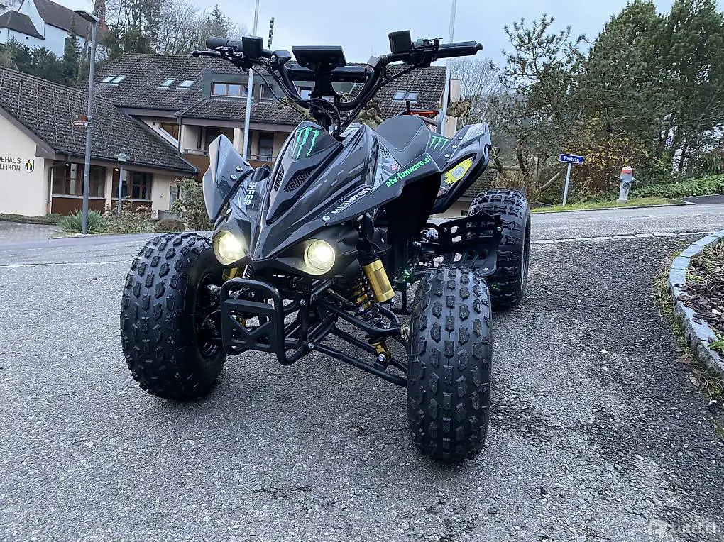  ATV Quad Motor 1200 Watt 60V, Wellenantrieb