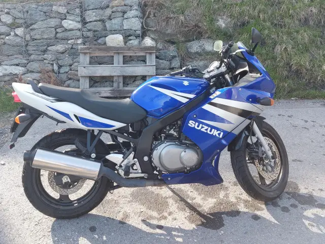 suzuki gs 500 f