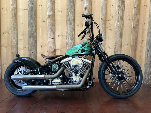 harley-davidson custom