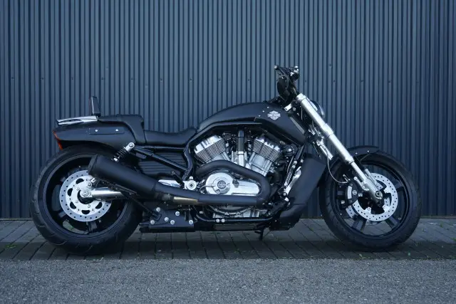 harley-davidson vrscf 1250 v-rod muscle