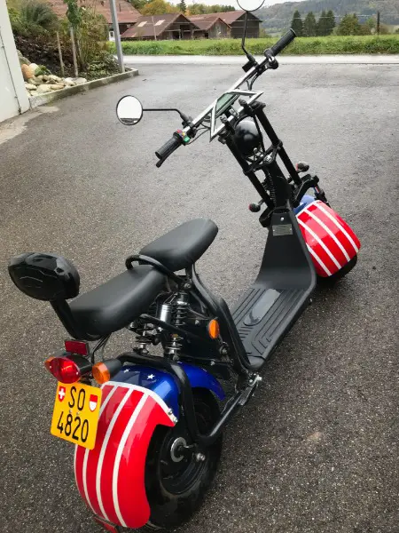 Electric Scooter City Koko | Item Number: ES8004 EEC