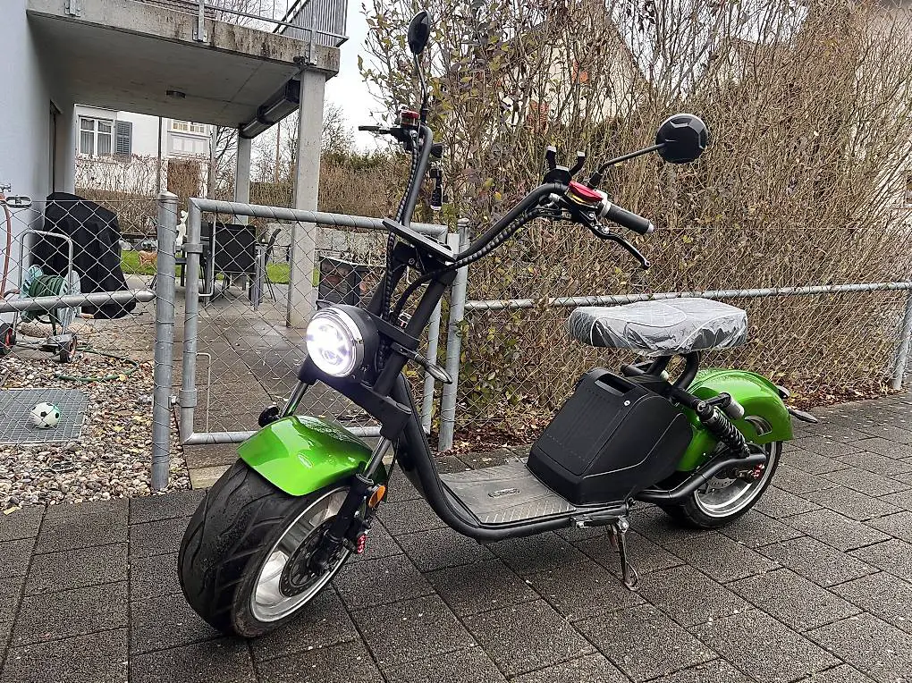 Citytwister 3.0 Elektroroller ohne Prüfung neue Batterie