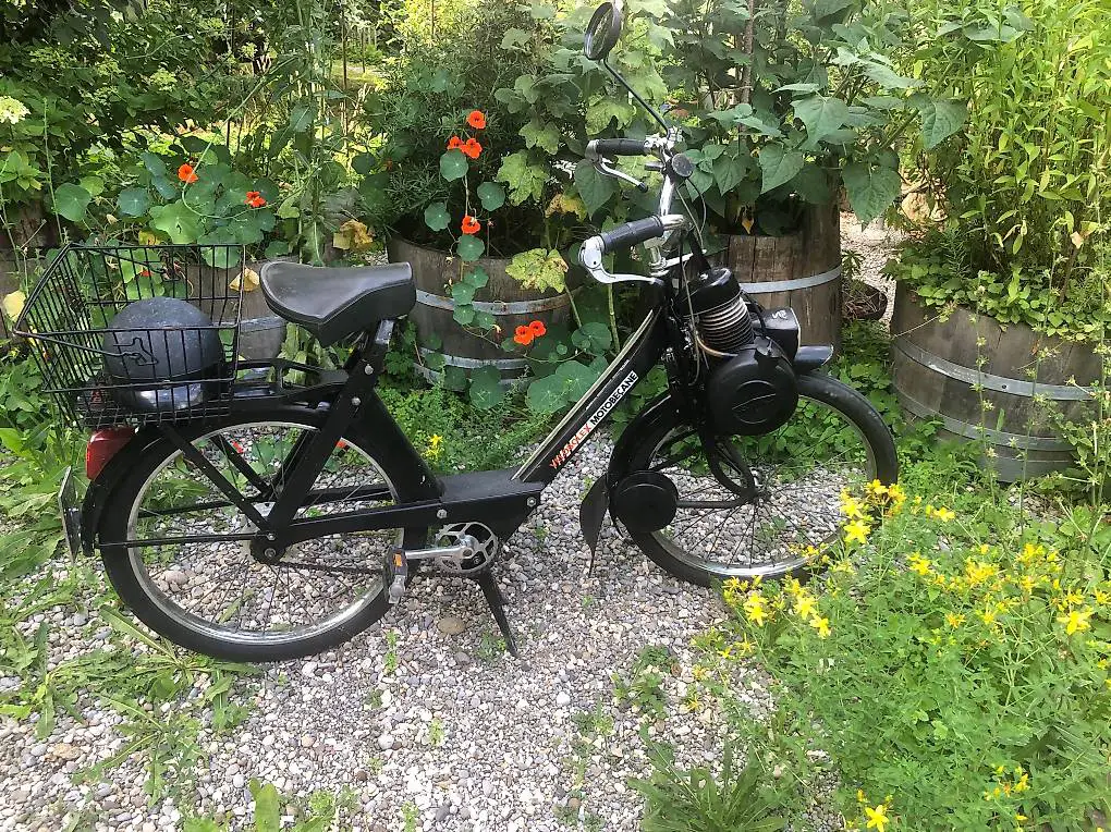 Solex 3800