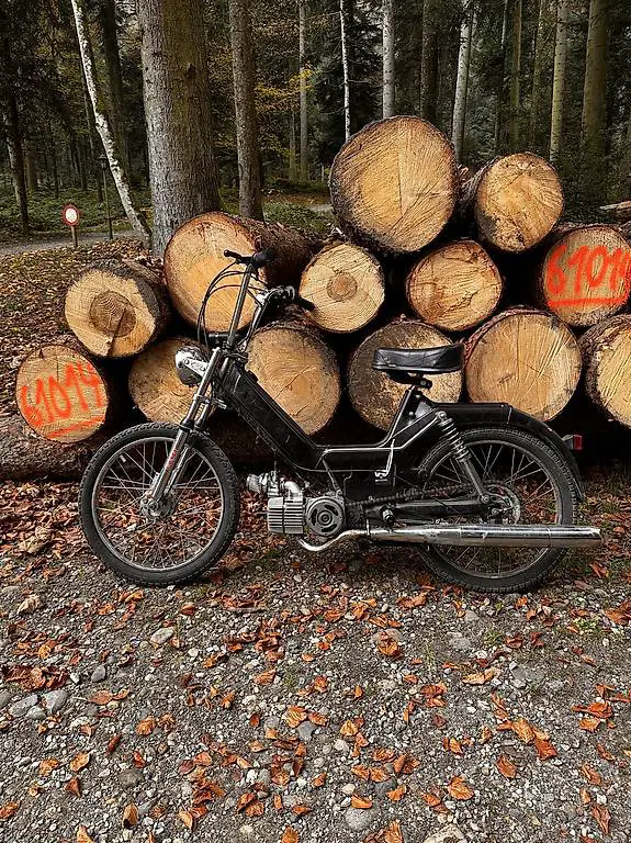 Puch Maxi S, occasion