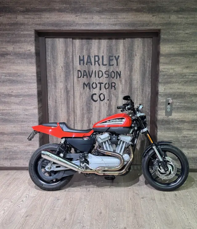 harley-davidson xr 1200 sportster