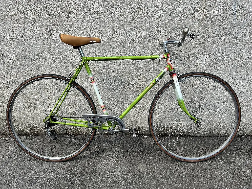 Tigra Halbrenner 54cm